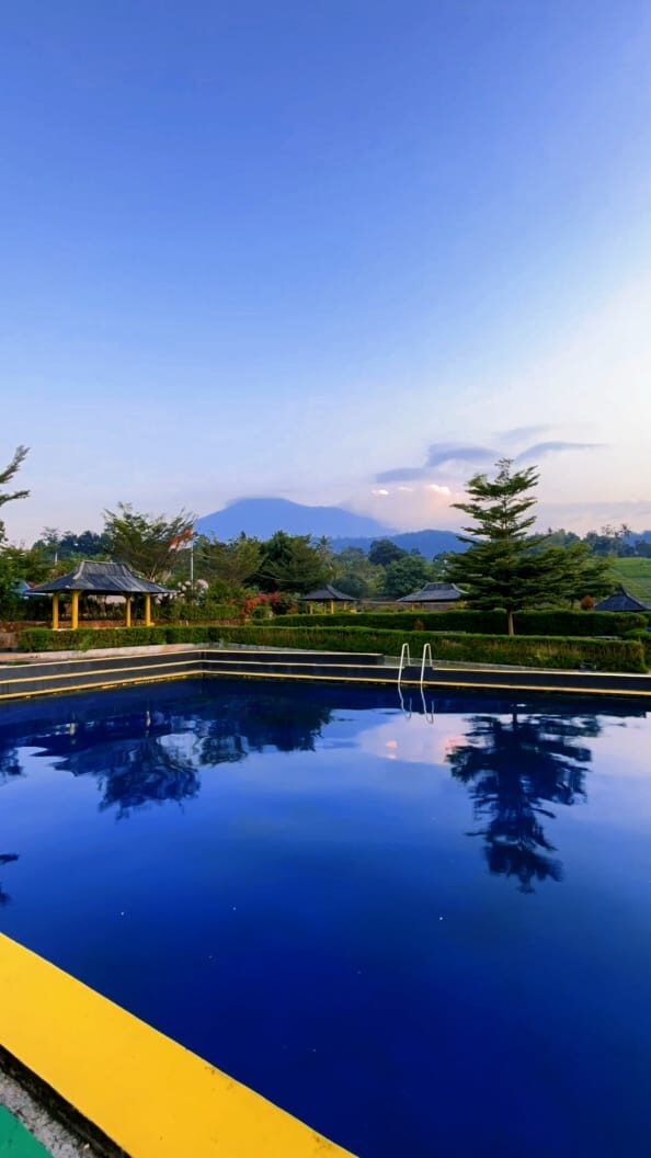 Kolam renang dengan lanskap hijau